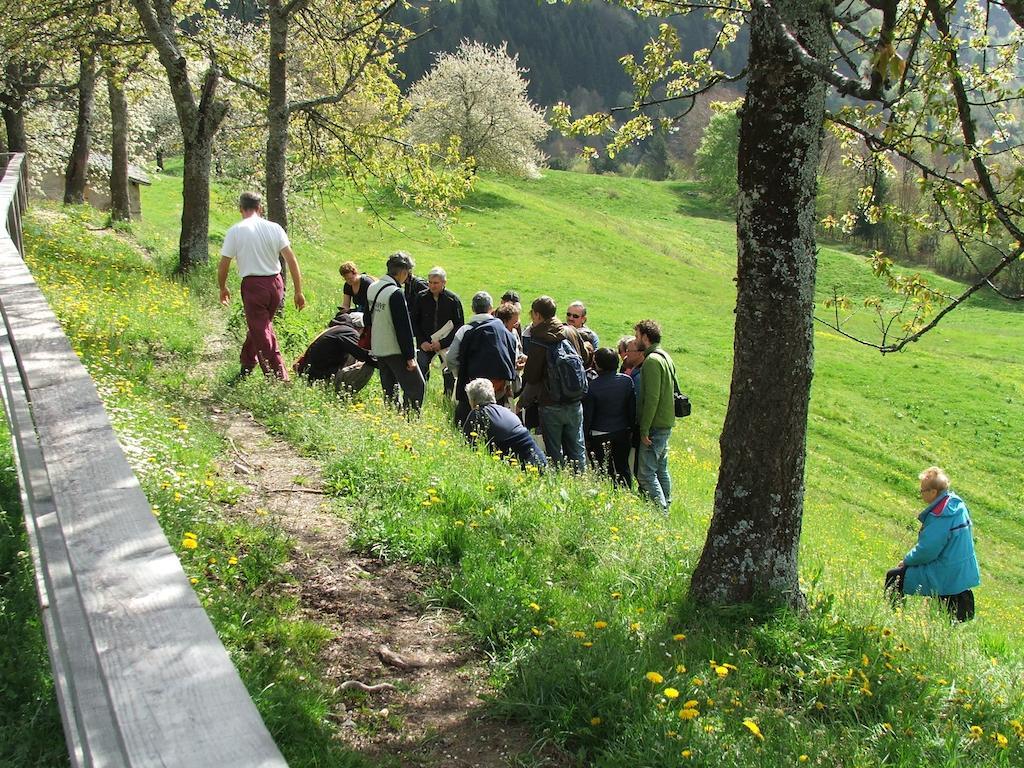 Antica Casa Ortensia Riva del Garda Zimmer foto